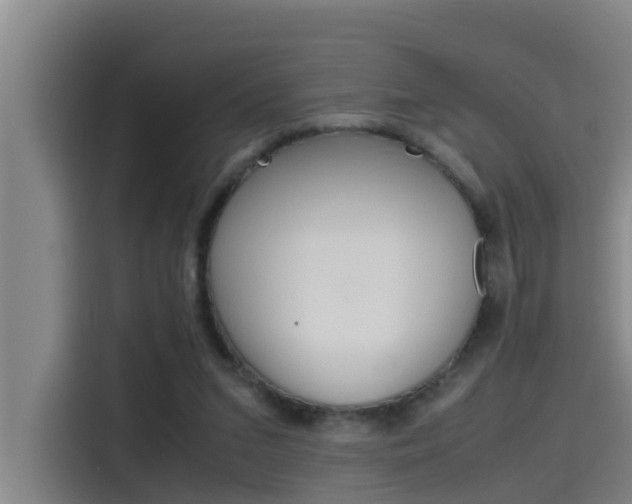 X0000115510207200911061010