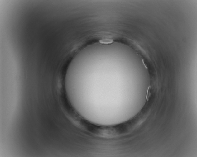 X0000115510215200911061009