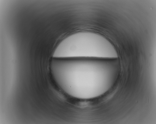 X0000115510216200911061009