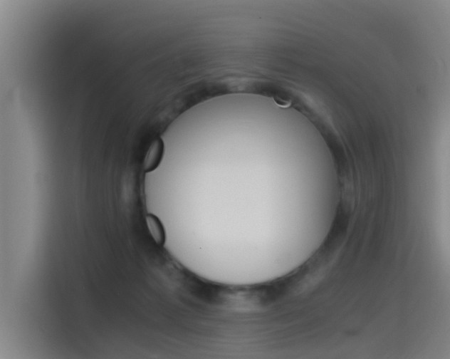 X0000115510221200911061009