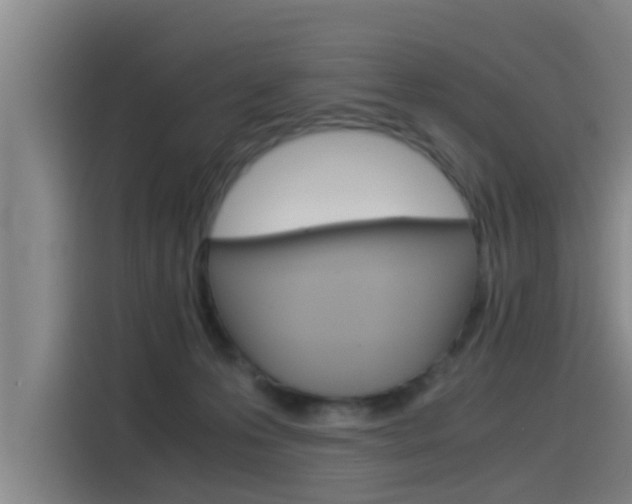 X0000115510223200911061009