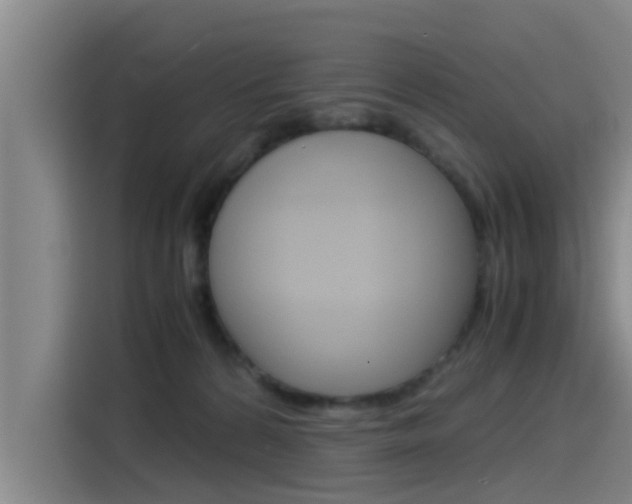 X0000115510224200911061009