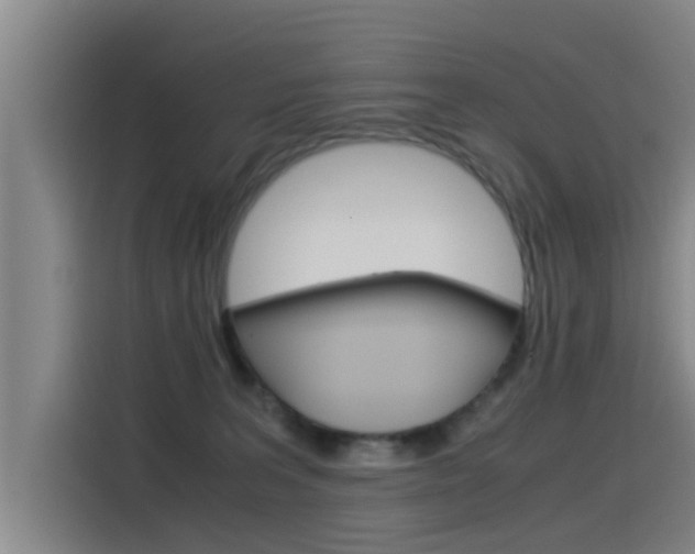 X0000115510227200911061009