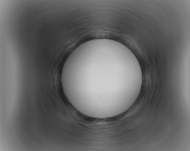 X0000115510228200911061009