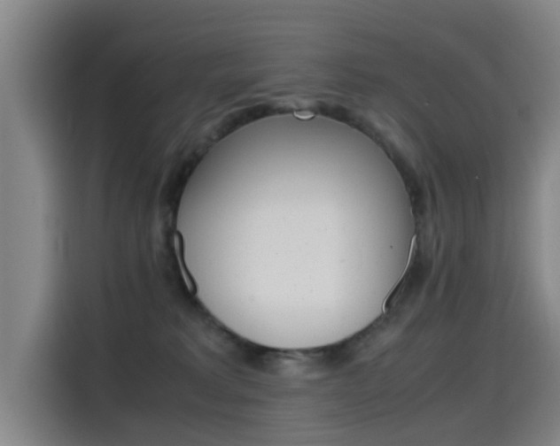 X0000115510229200911061009