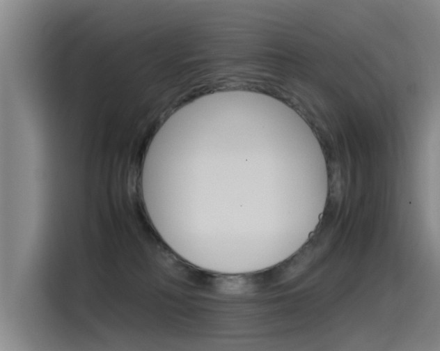 X0000115510230200911061009