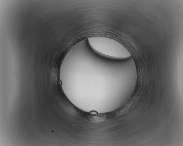 X0000115510232200911061009