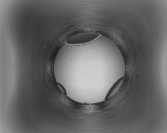 X0000115510233200911061009