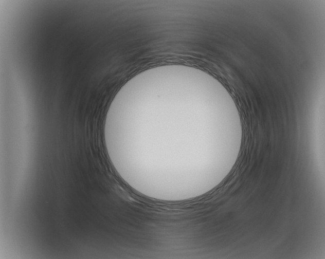 X0000115510235200911061009