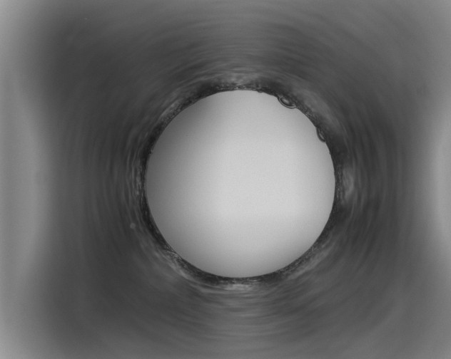 X0000115510236200911061009