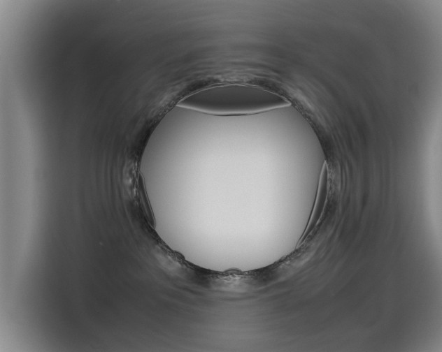 X0000115510237200911061009