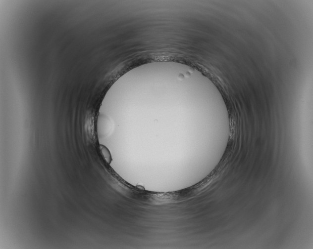 X0000115510238200911061009