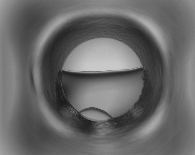 X0000115510239200911061009