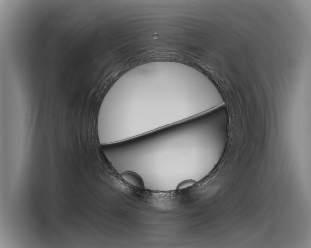 X0000115510240200911061009