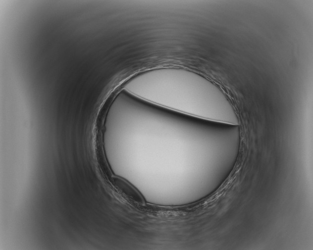 X0000115510242200911061008