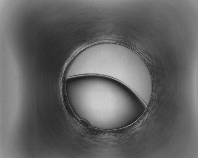 X0000115510244200911061009
