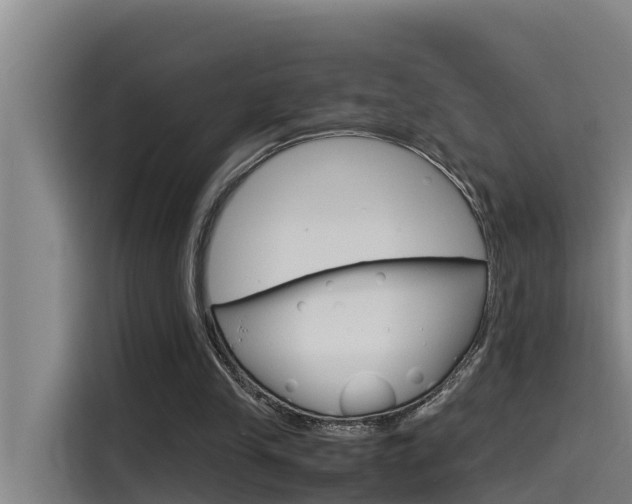 X0000115510245200911061009