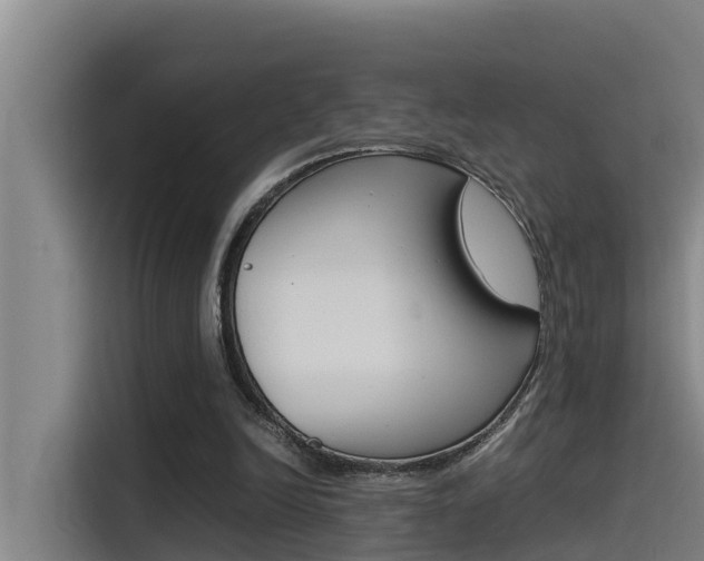 X0000115510246200911061009
