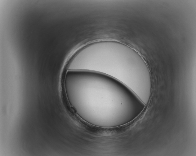 X0000115510248200911061009