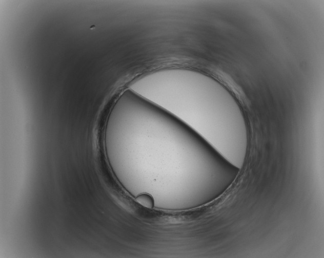 X0000115510250200911061009