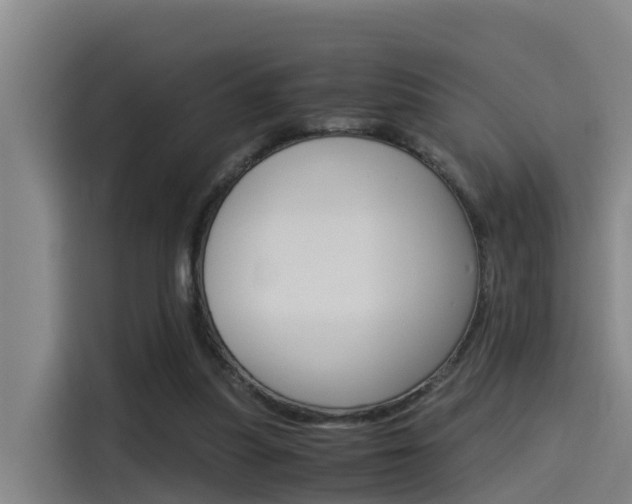 X0000115510251200911061009