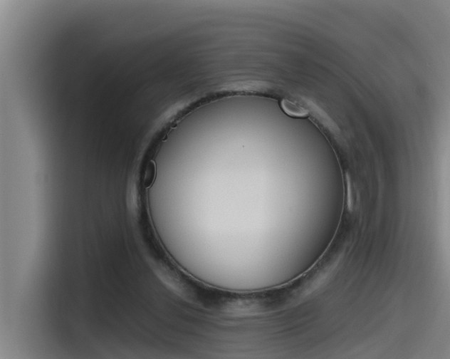 X0000115510252200911061009
