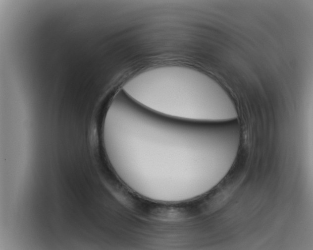 X0000115510254200911061009
