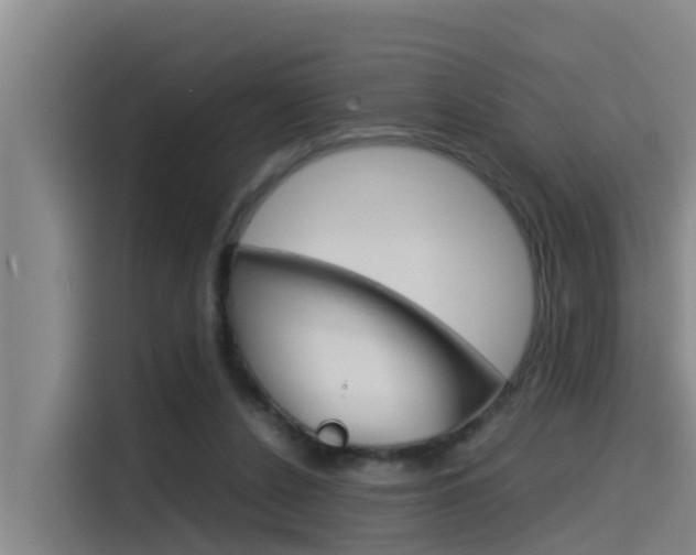 X0000115510256200911061009