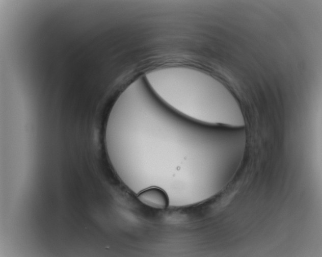 X0000115510258200911061009
