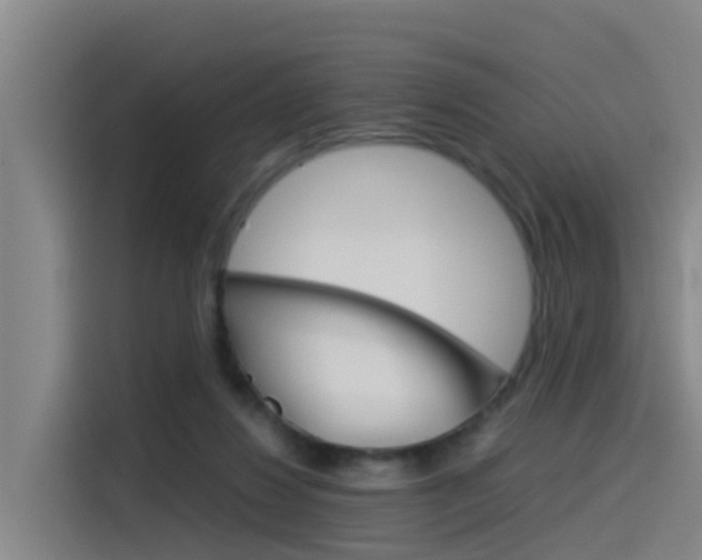 X0000115510260200911061009