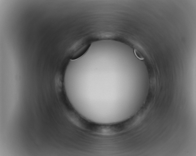 X0000115510264200911061009
