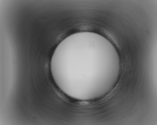X0000115510265200911061009