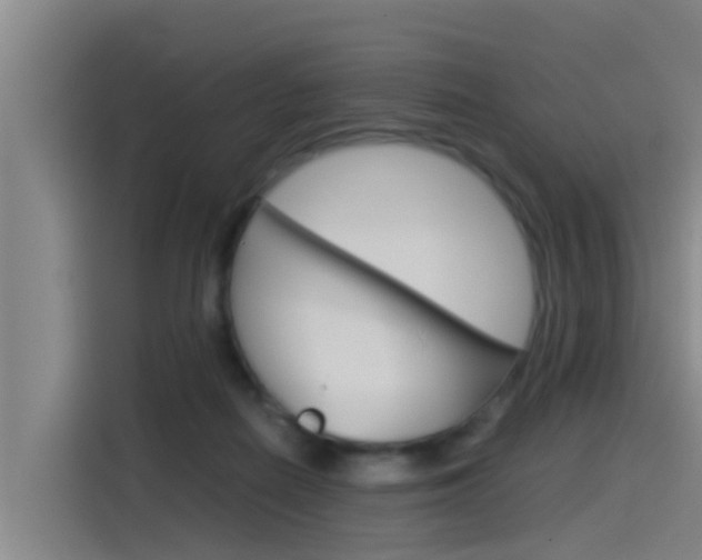 X0000115510266200911061009