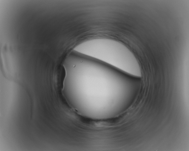 X0000115510268200911061009