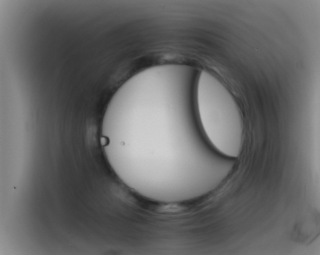 X0000115510269200911061009