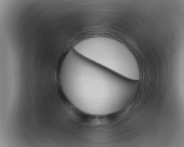 X0000115510270200911061009