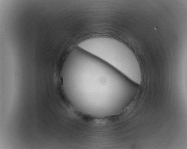 X0000115510272200911061009