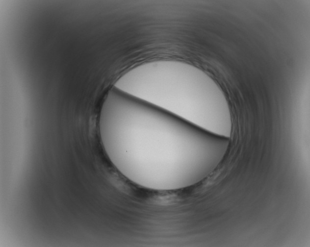 X0000115510278200911061009