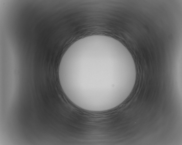 X0000115510280200911061009