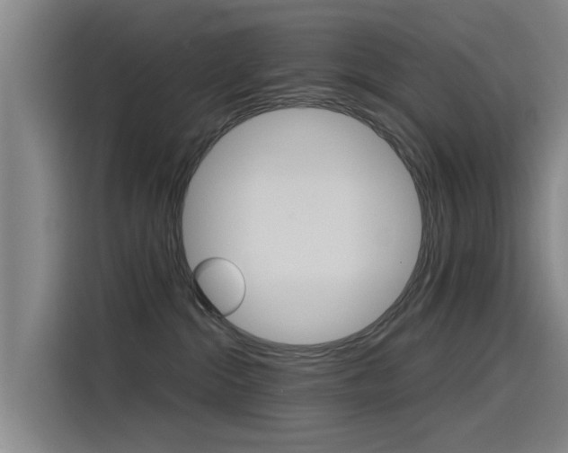 X0000115510284200911061009