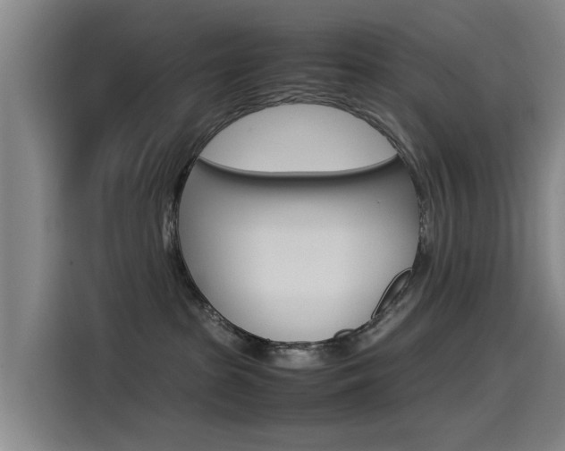 X0000115510285200911061009