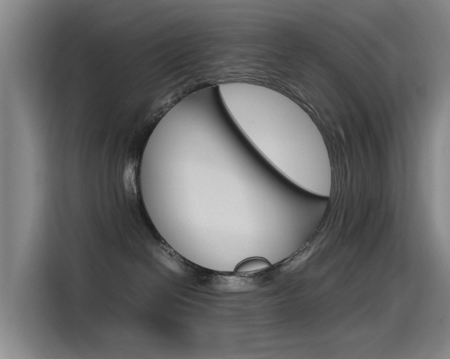 X0000115510286200911061009