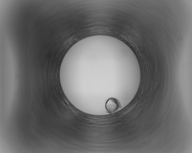 X0000115510288200911061009