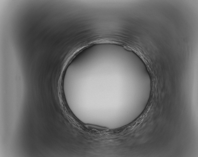X0000115510289200911061008
