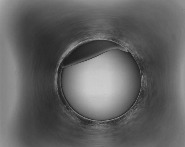 X0000115510292200911061008