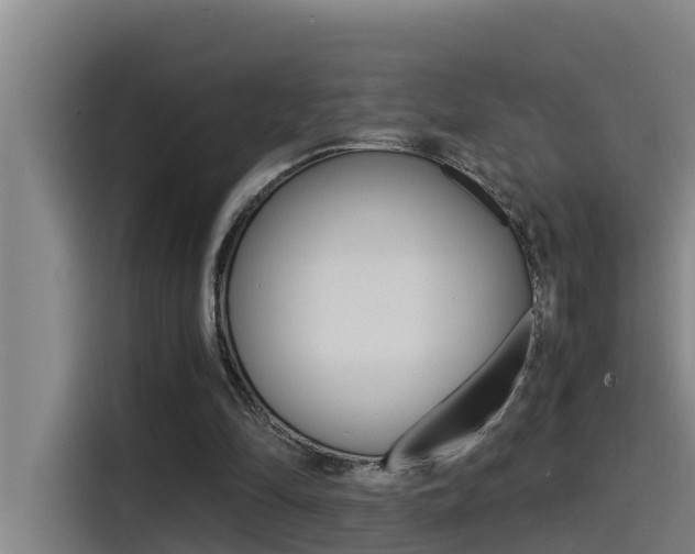 X0000115510294200911061008
