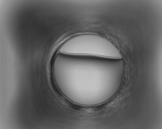 X0000115510295200911061008