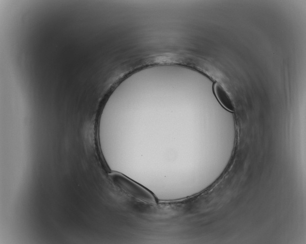 X0000115510297200911061008
