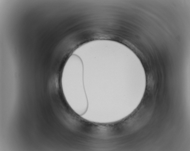 X0000115510302200911061008
