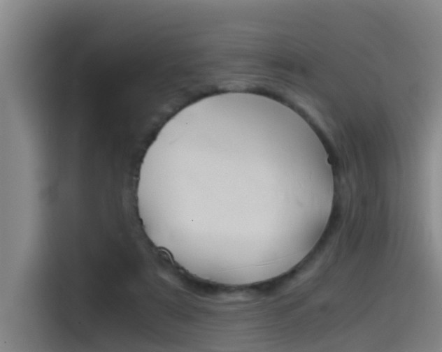 X0000115510307200911061008
